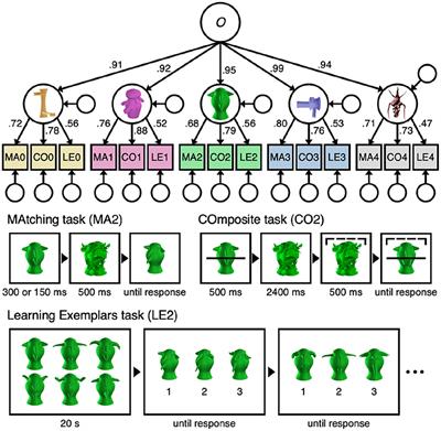 Mini review: Individual differences and domain-general mechanisms in object recognition